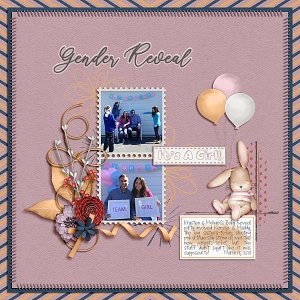 Gender Reveal