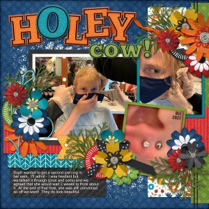 Holey cow