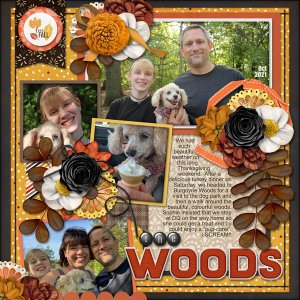 The Woods