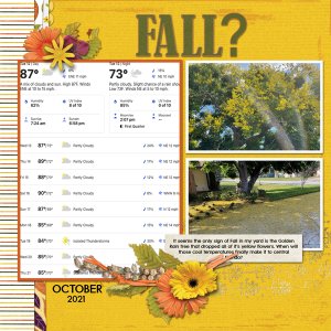 Fall?