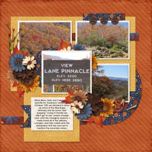 Lane Pinnacle