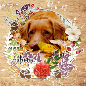 wreath1