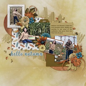 madison-pumpkin-patch