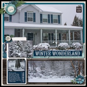 Winter Wonderland