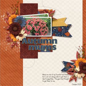 Autumn Mums