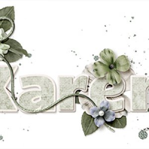 New Siggy