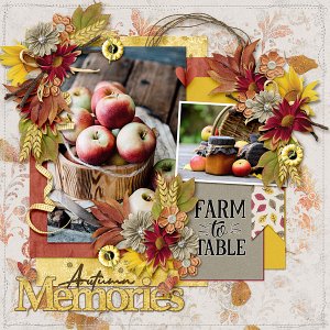 Farm to Table