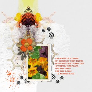 Awe of Flowers