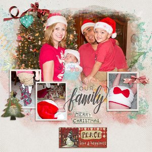 Our Family Christmas 2015