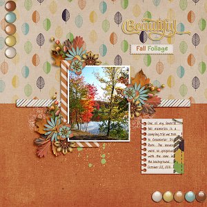 Beautiful Fall Foliage
