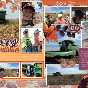 Harvest Continues