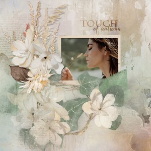 touch of autumn