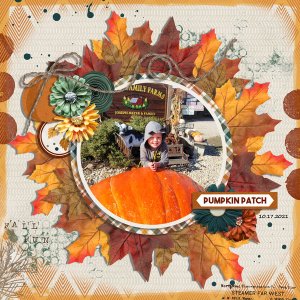 pumpkin patch
