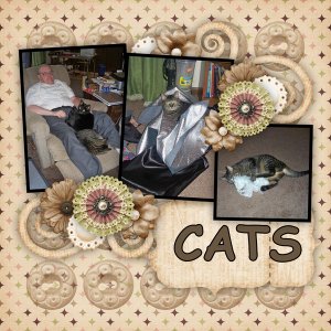 Cats 2010
