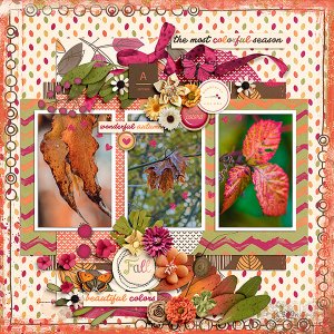 The Most Colorful Season