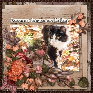 fall memories
