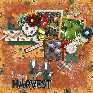 Happy Harvest