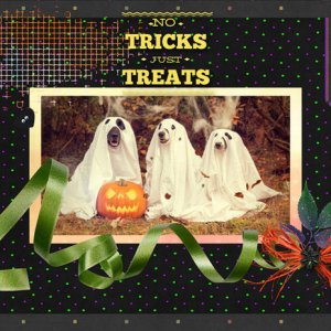 No Tricks Just Treats