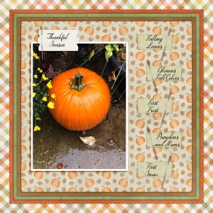 FAVORITE THINGS I LOVE ABOUT FALL