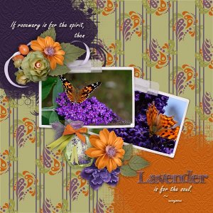 Lavender is for the soul