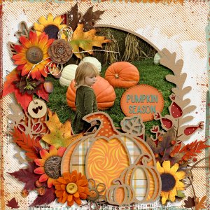 pumpkin season