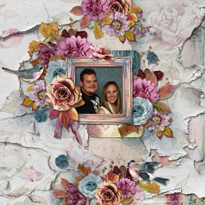 A Harvest of Memories Collection by Ilonka