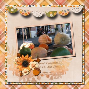 Giant Pumpkins