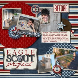 Eagle Project Before