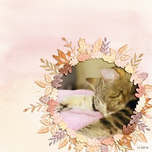 Sleepy