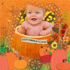 Cutest Pumpkin in the Patch