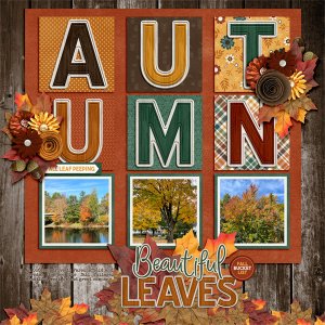 Beautiful Fall Leaves