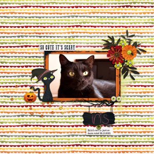 Iris Cat