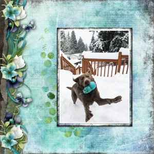 Snow Fun