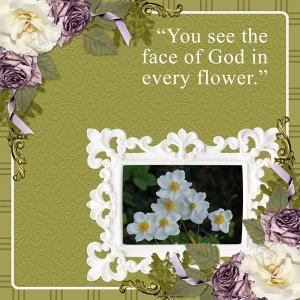 You see the face if God in every flower
