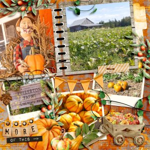 Fullerton Farms