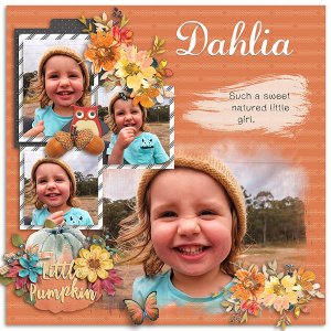 Dahlia