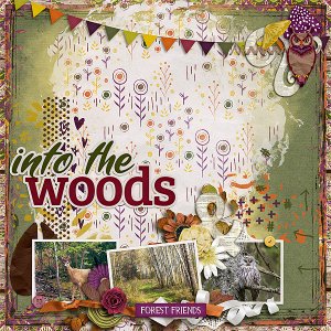 Into the Woods