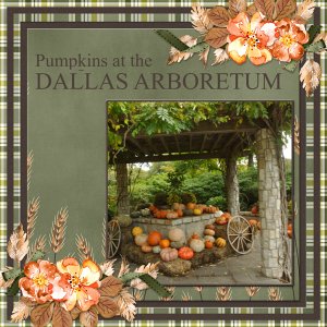 Pumpkins at the Dallas Arboretum