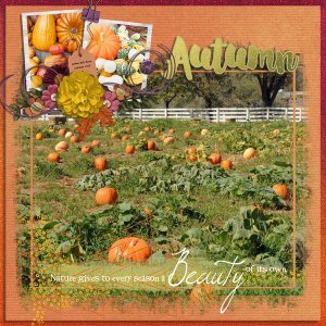 autumn
