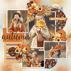 T. November memories