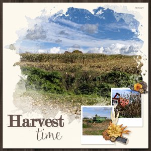 Harvest time