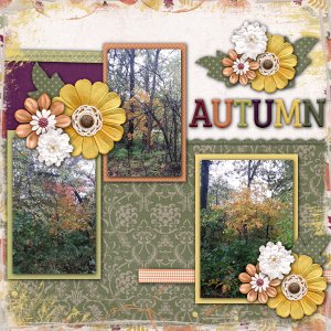 Autumn 2