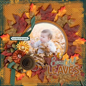 Beautiful-Leaves