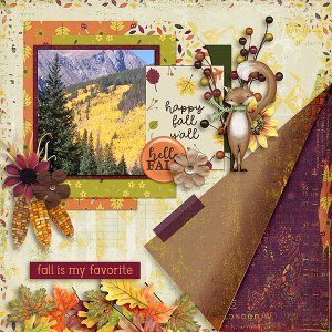 Beautiful Fall