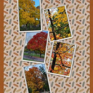 Hello Autumn