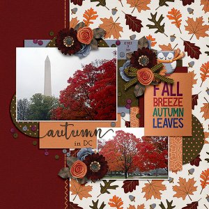 autumn in DC
