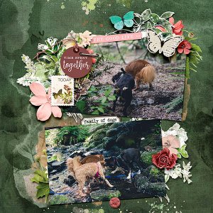 Family of Dogs