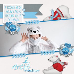 Polar Freeze