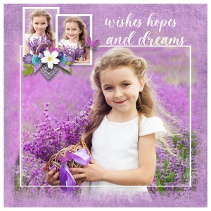 Wishes Hopes + Dreams