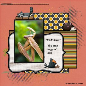 Praying Mantis